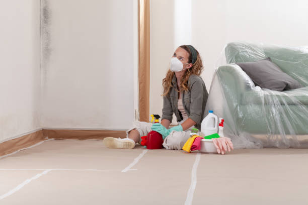 Reliable Mold Remediation contractor in Newport, TN by WQB Mold Removal